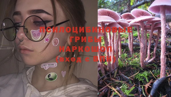 герыч Осташков