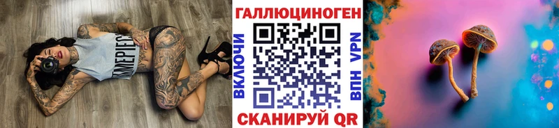 Купить  Сосенский  Псилоцибиновые грибы Psilocybine cubensis 